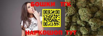 гидра Заволжье