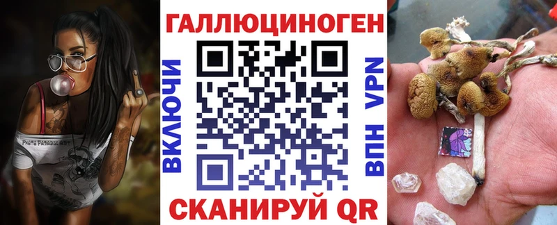 Галлюциногенные грибы Psilocybe  Янаул 